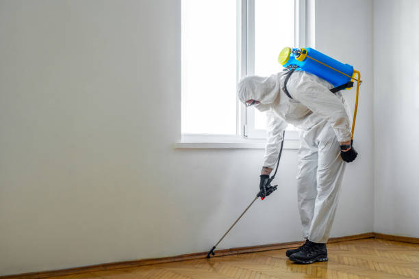 Trusted Star, ID Pest Control Experts