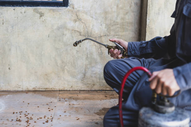 Best Wasp Removal Services  in Star, ID